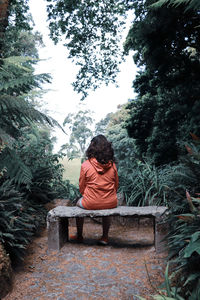 Rear view of girl sitting on bench in forest