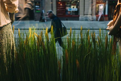 Man walking on road seen through store window