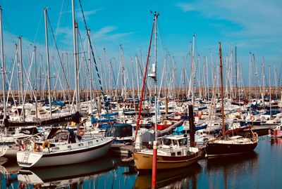 Sailboats moored in harbor