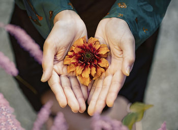 Orange blossom in a woman's hands.