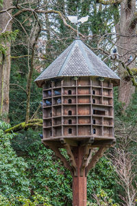 Built structure against trees