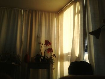 View of curtain at home