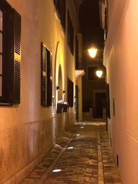 Empty alley amidst buildings at night