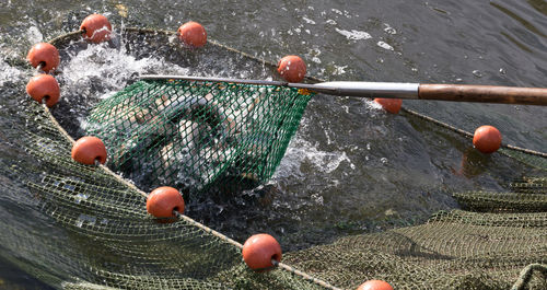 Close-up of fishing net in water