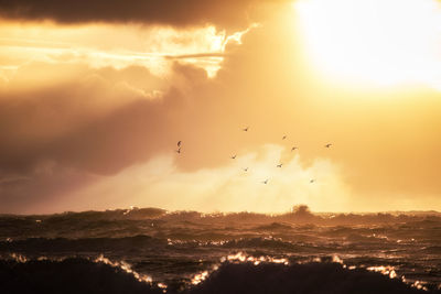 Silhouette birds flying over sea against sky during sunset