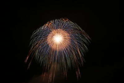 Low angle view of firework display against sky at night