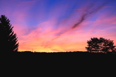 Silhouette trees on landscape against sky at sunset