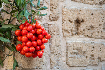 fruit