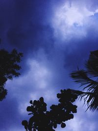 Low angle view of silhouette tree against sky