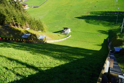 High angle view of green plants on field