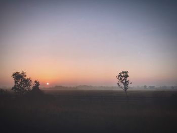 Silhouette trees on field against sky during sunset