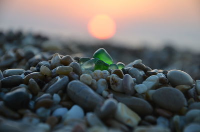 Close-up of pebbles on beach during sunset