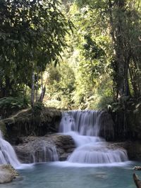 Scenic view of waterfall in forest