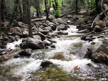 Scenic view of river flowing through rocks