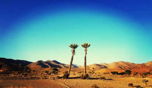 Scenic view of desert against clear blue sky