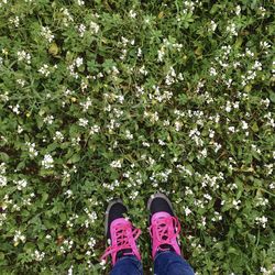 Low section of woman standing on grass