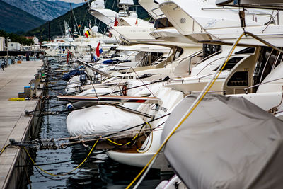 Sailboats moored at harbor