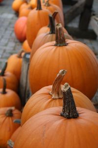 Close-up of pumpkin for sale at market