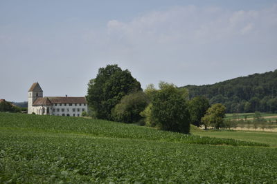 Trees and houses on field against sky