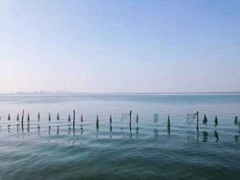 Scenic view of sea against clear sky