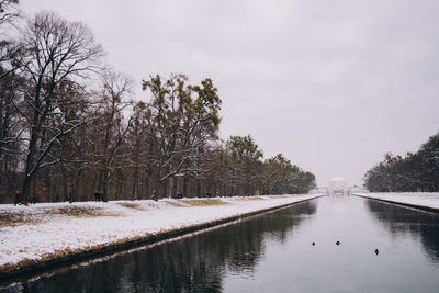 Swan in lake against sky during winter