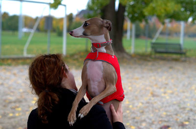 Rear view of woman with italian greyhound at park