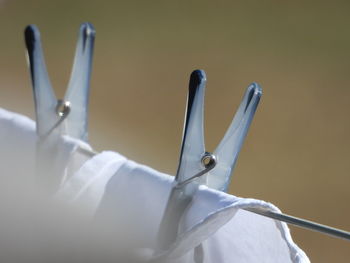 Close-up of white water drop on metal