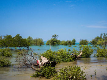 Scenic view of lake against clear blue sky