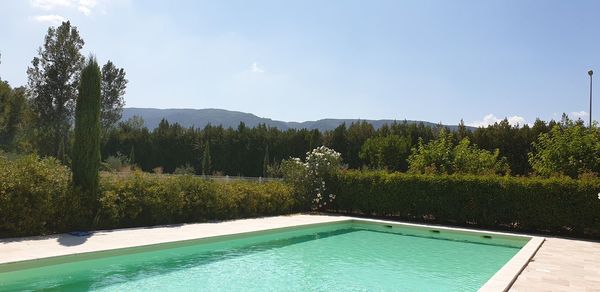 Swimming pool by trees against sky