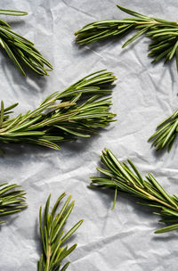 Rosemary sprigs, close up. twigs of rosmarinus officinalis.