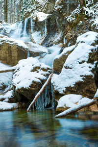 Scenic view of river flowing in forest during winter