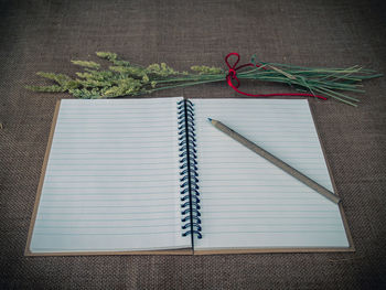 High angle view of potted plant on table