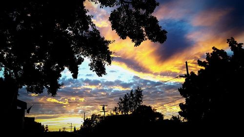 Silhouette of trees at sunset