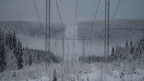 Panoramic shot of trees on field during winter