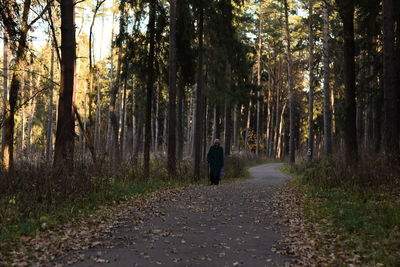 Woman walking on road at forest