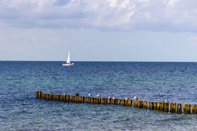 View of the baltic sea with a multi colored beach chair, reeds and bunes with seagull