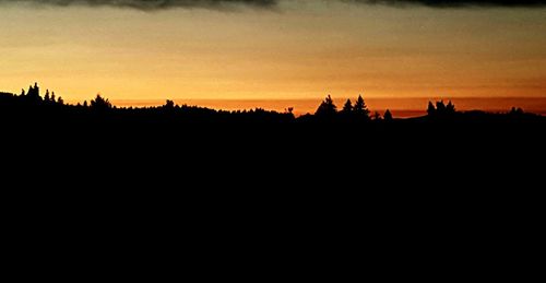 Silhouette of trees at sunset