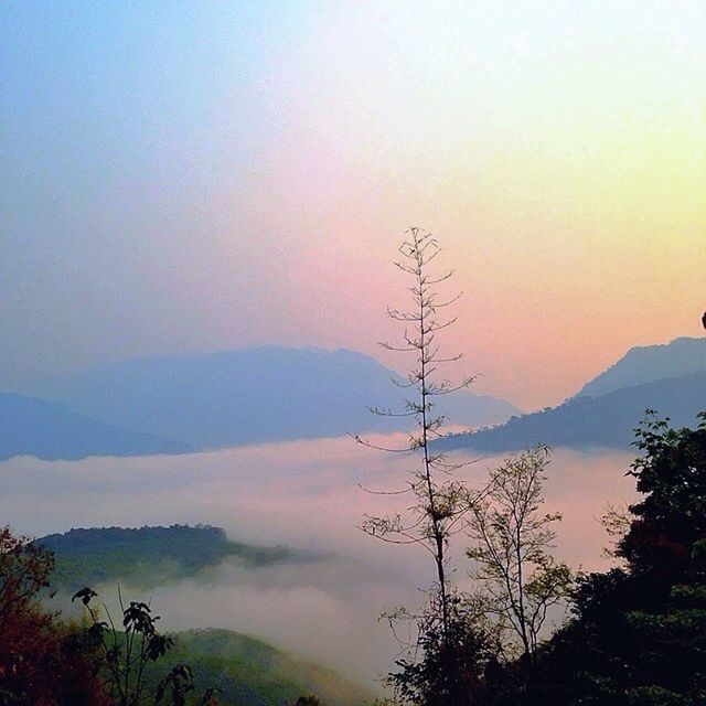 tranquil scene, scenics, tranquility, beauty in nature, mountain, sunset, tree, silhouette, nature, landscape, sky, idyllic, mountain range, non-urban scene, fog, orange color, majestic, copy space, non urban scene, outdoors