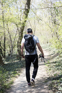 Rear view of man walking on footpath in forest