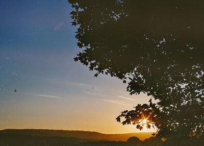 Low angle view of silhouette tree against sky during sunset