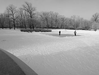 Bare trees on snow covered landscape