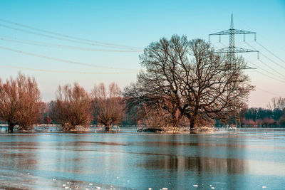 Frozen field and trees after flooding, germany,