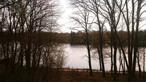 Reflection of trees in lake