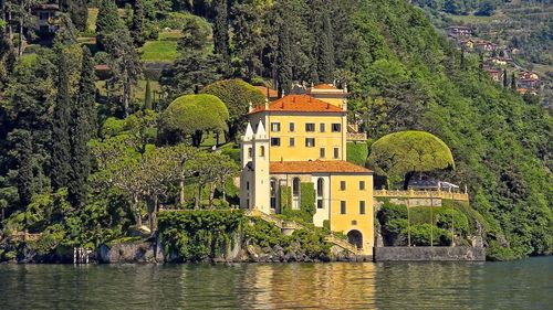 Trees and plants by river against building