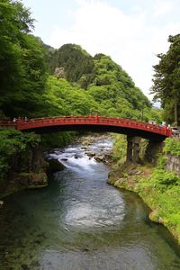 Bridge over river in forest against sky