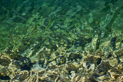 High angle view of sea shore