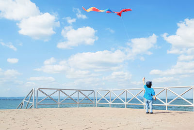 Rear view of boy flying kite by sea