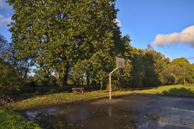 Trees by road against sky during rainy season