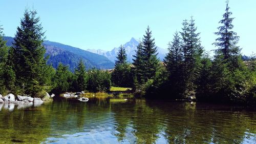 Scenic view of lake by trees against clear sky