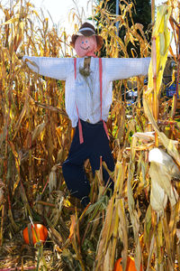 Full frame of scarecrow in corn field with pumpkins